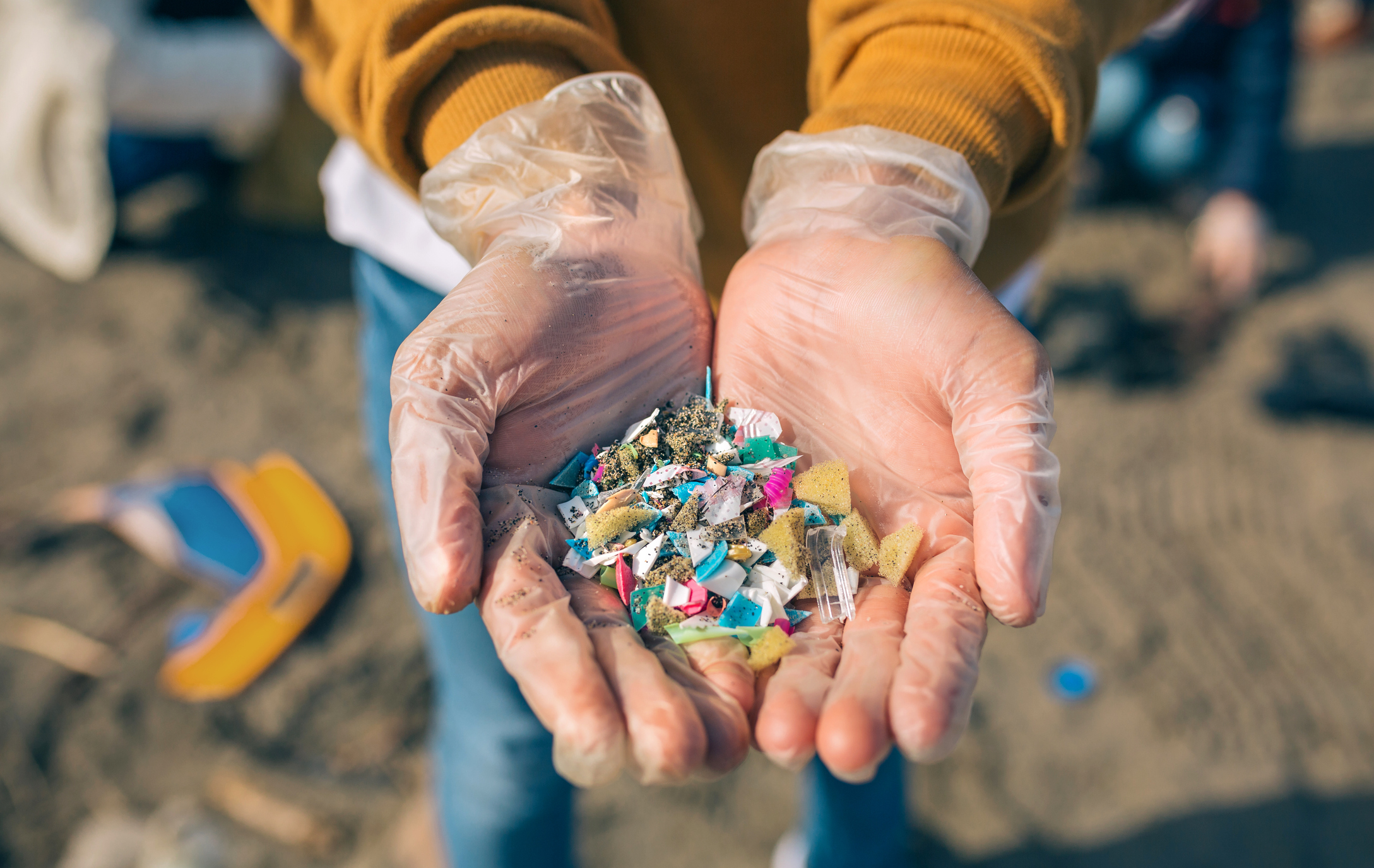 Mikroplastik Bottom